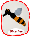 Biene 2
