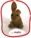 Hase