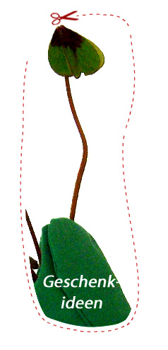 Blumentopf nach Beuys